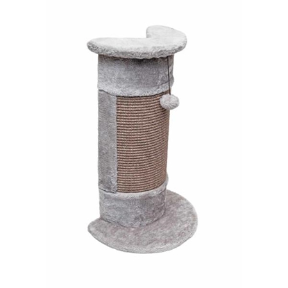 Picture of Cat Scratching Pole New York